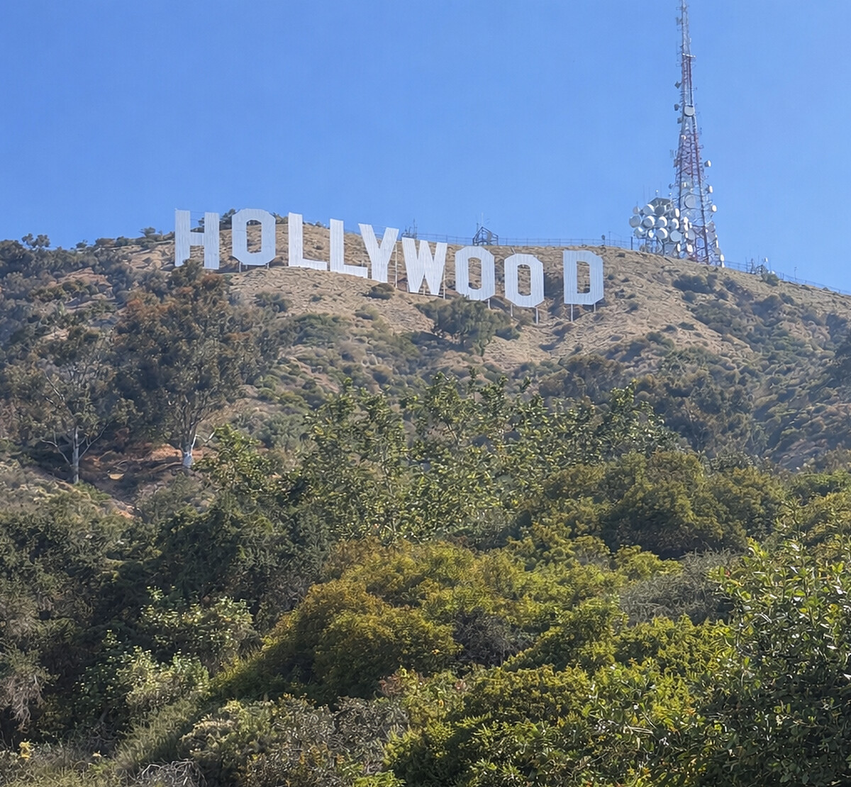 王柏傑將到LA參加表演課程