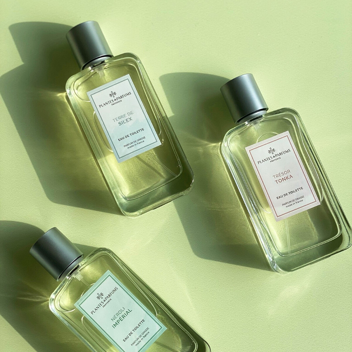 誠品生活 480「Plantes & Parfums」藝術擴香竹｜推薦價 3,688 元