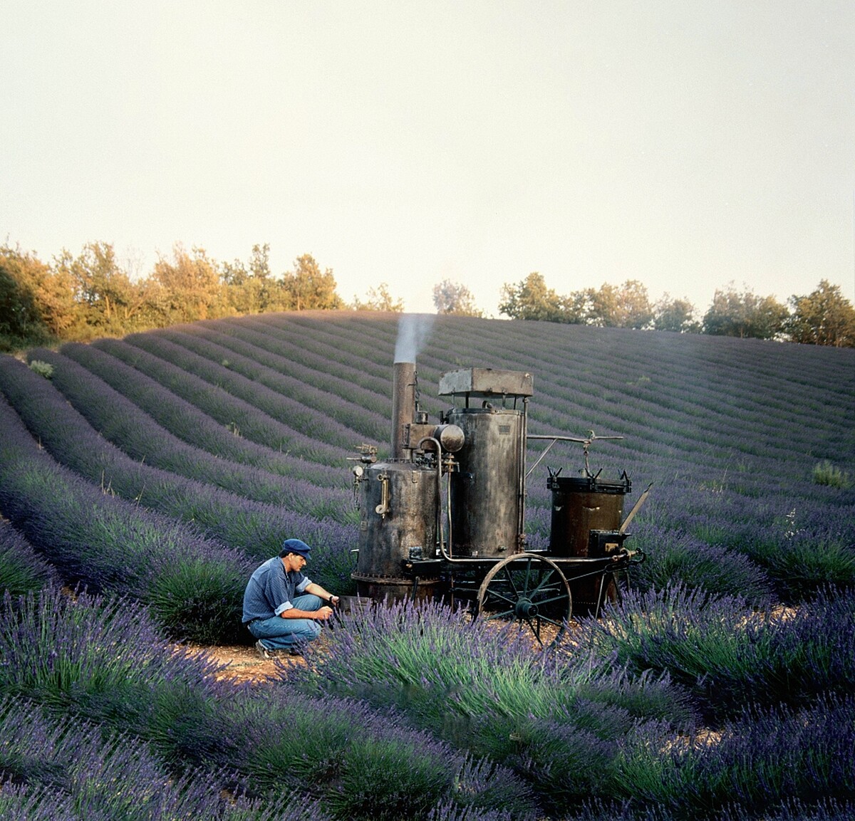 歐舒丹品牌源自於1976自創辦人Olivier Baussan萃取第一滴迷迭香精油開始。