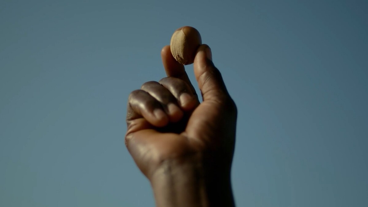 歐舒丹乳油木果情境照。