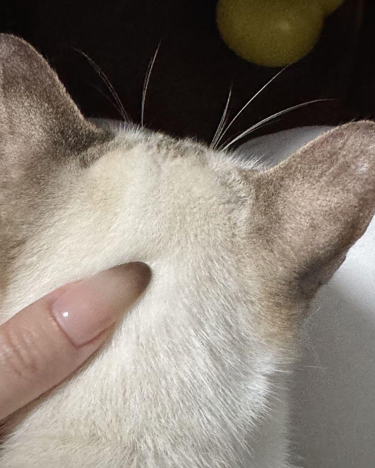 Photo/ 小紅書 @小賴0u0