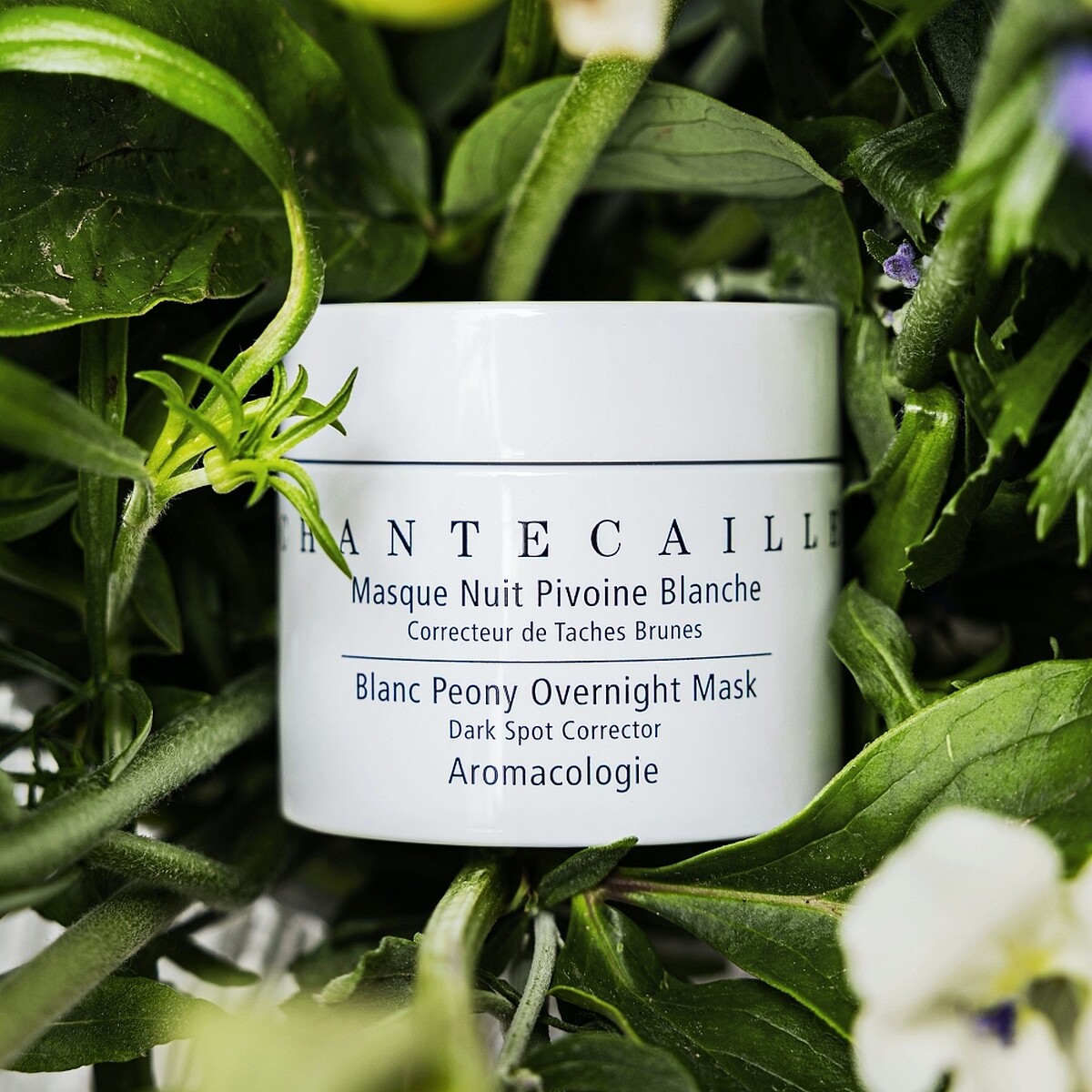 CHANTECAILLE香緹卡雪牡丹臻白透亮水潤面膜50ml，NT7,500