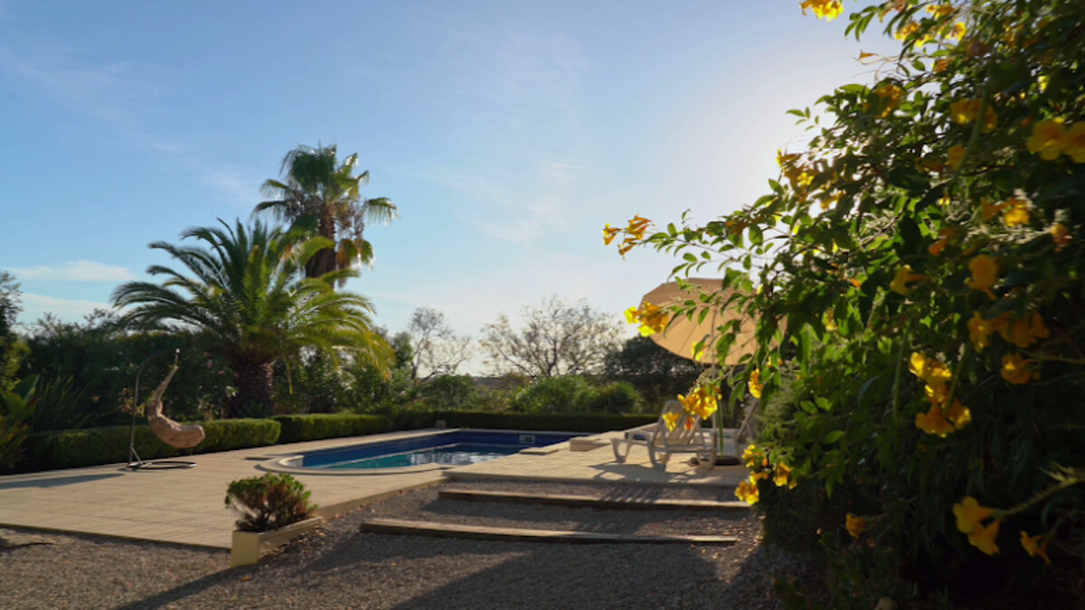 Photo / 塔羅耳語