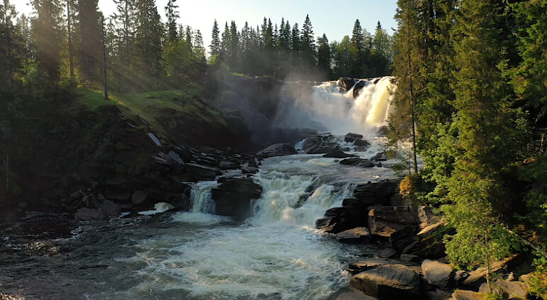 Photo / 塔羅耳語