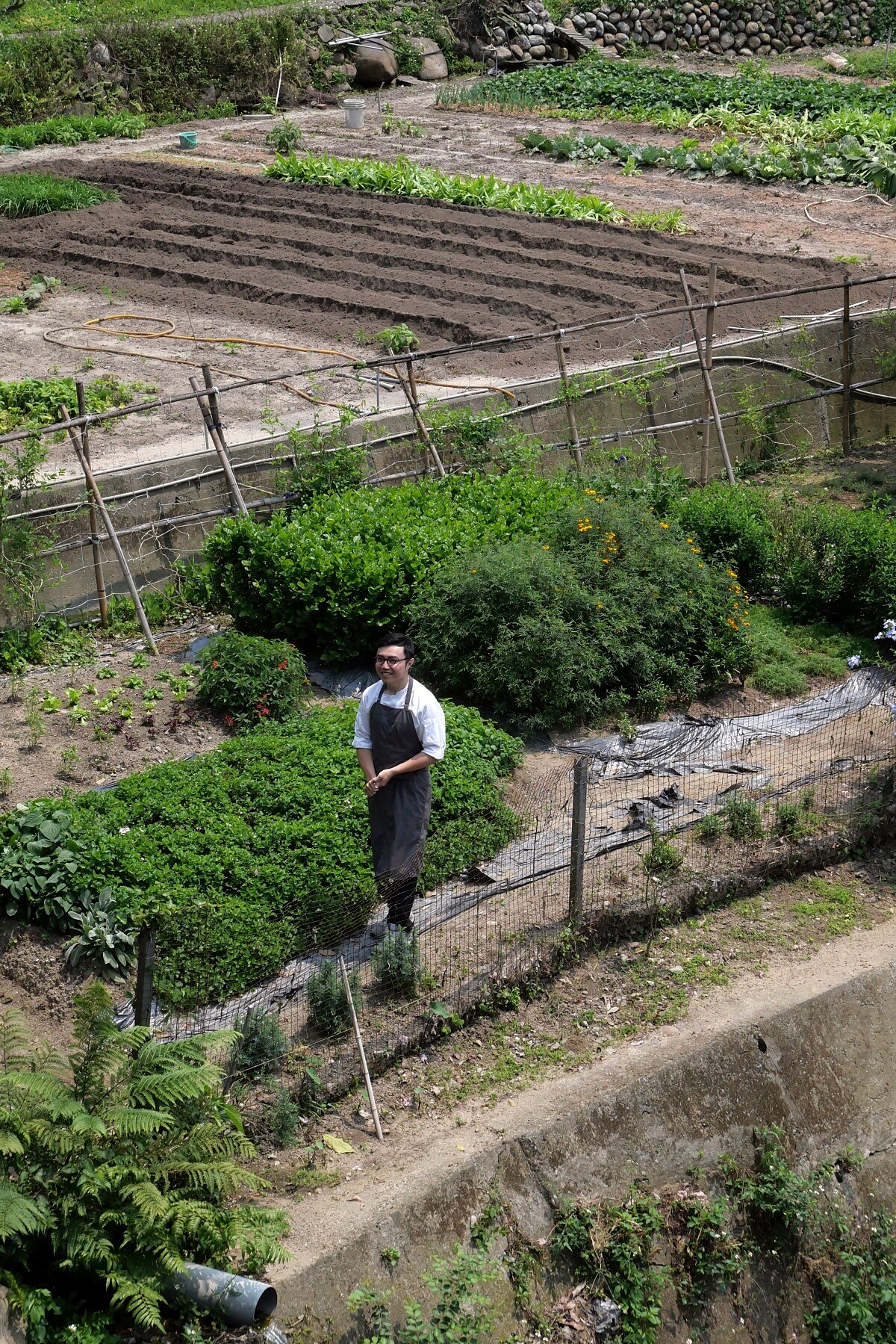 園藝團隊為「黎森」打造近70平方米的菜園。