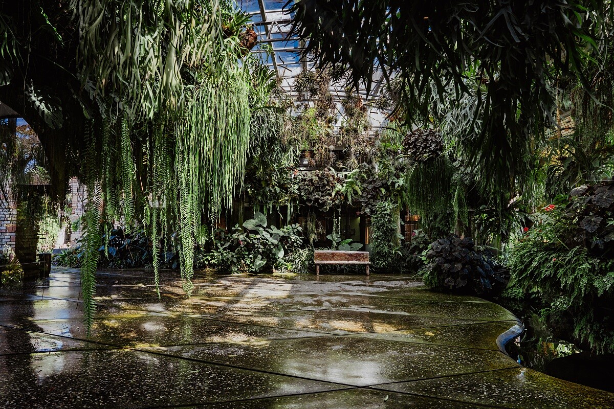 半開放式的沙龍空間，以大量蕨類、綠植妝點。