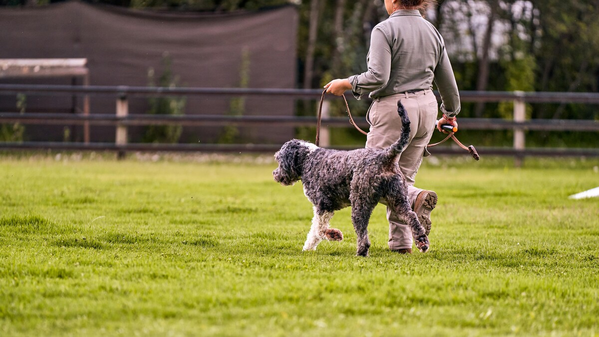Photo/pexels.com