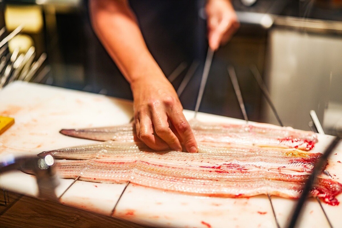 每位「うなぎ四代目菊川」的廚師，進入廚房的第一關，都得從殺鰻魚、處理鰻魚開始。