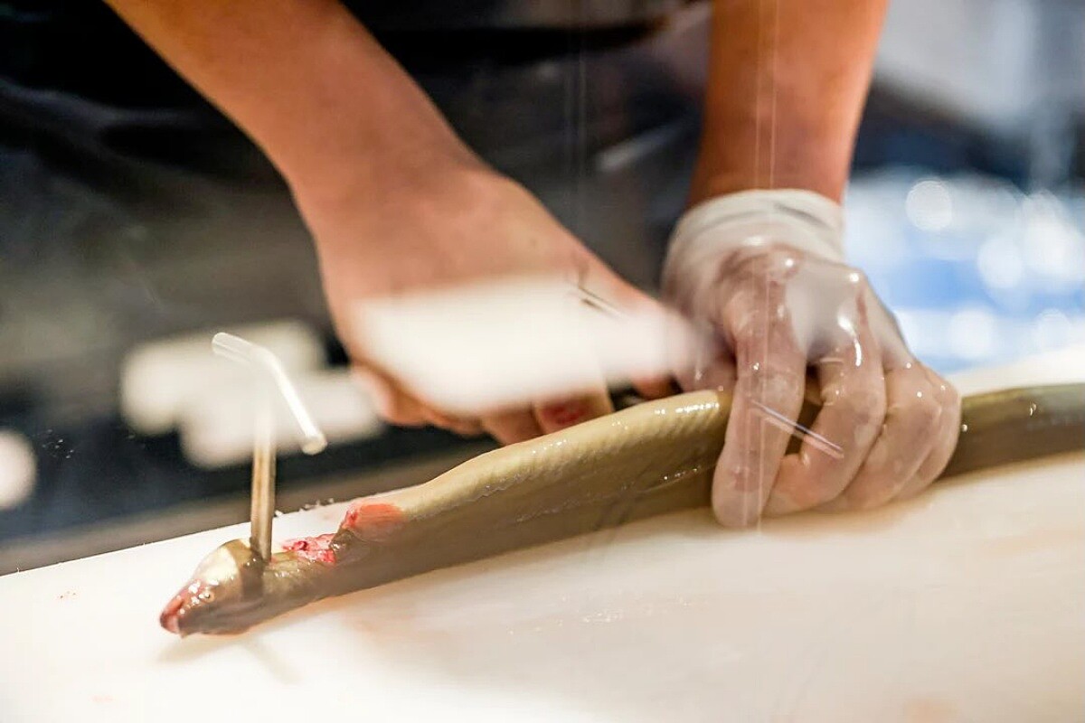 「うなぎ四代目菊川」選用「3.5P」大小的鰻魚。