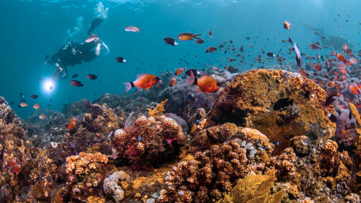 圖片版權 / 星宇航空STARLUX