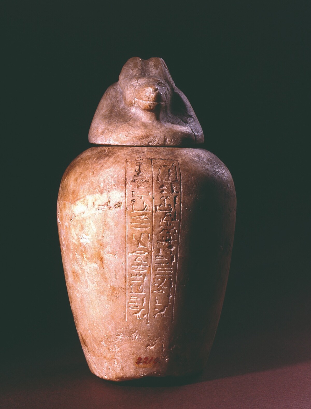 義大利佛羅倫斯國立考古博物館典藏之亡者塔哈蕾特的卡諾皮克罐&copy;Museo Archeologico Nazionale di Firenz