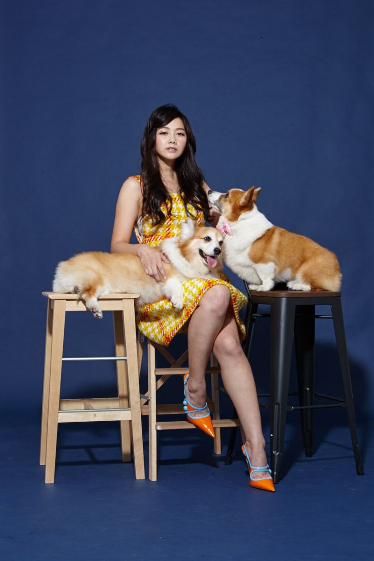 邵庭與柯基犬Uni和Una合照