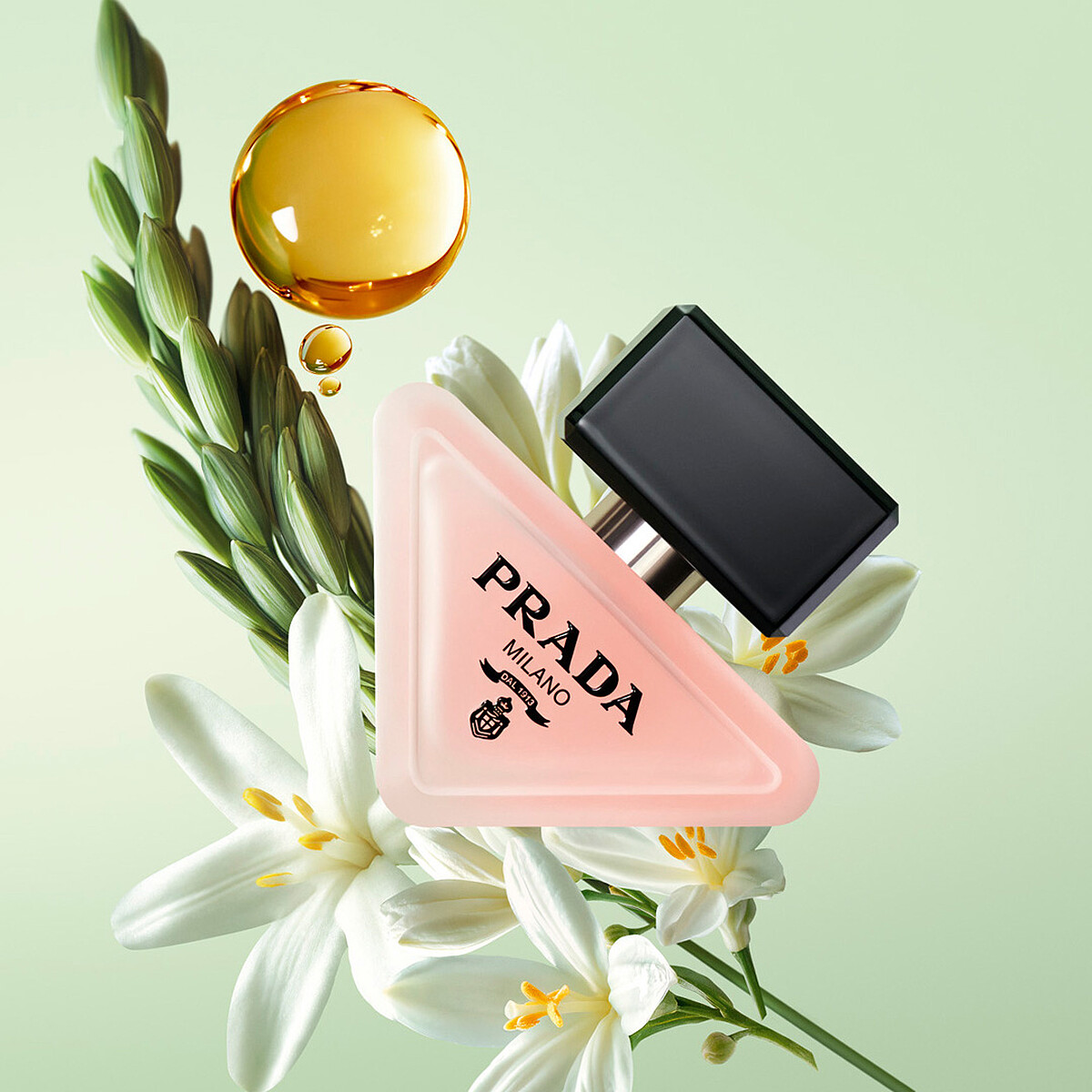 PRADA Paradoxe唯我莫測髮香噴霧成份圖。30ml，NT2,150