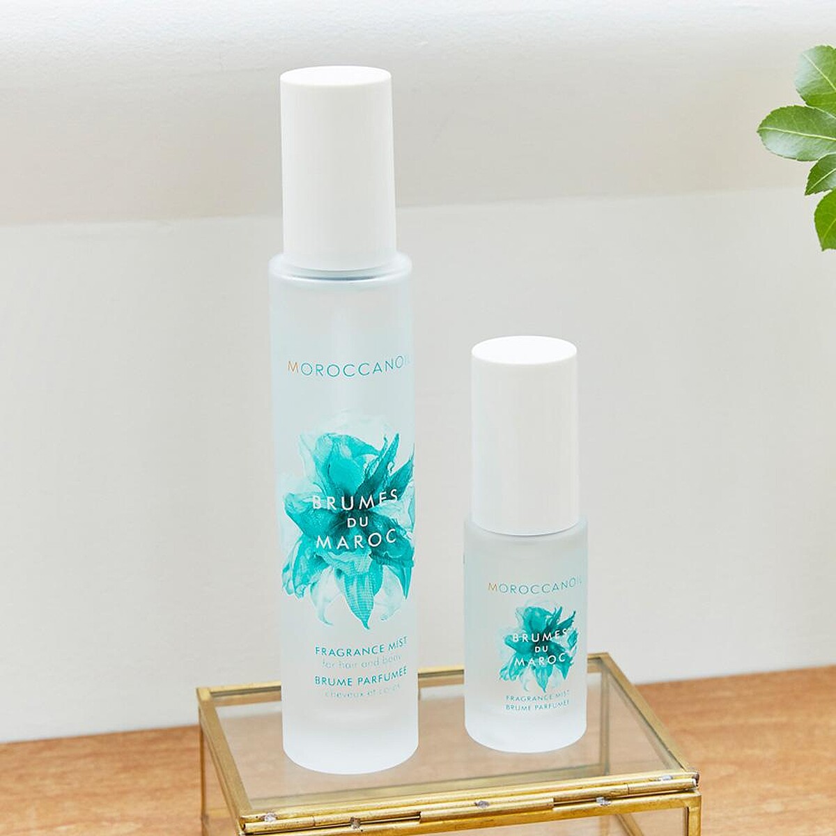 MOROCCANOIL優油經典香氛 100ml，NT1,000