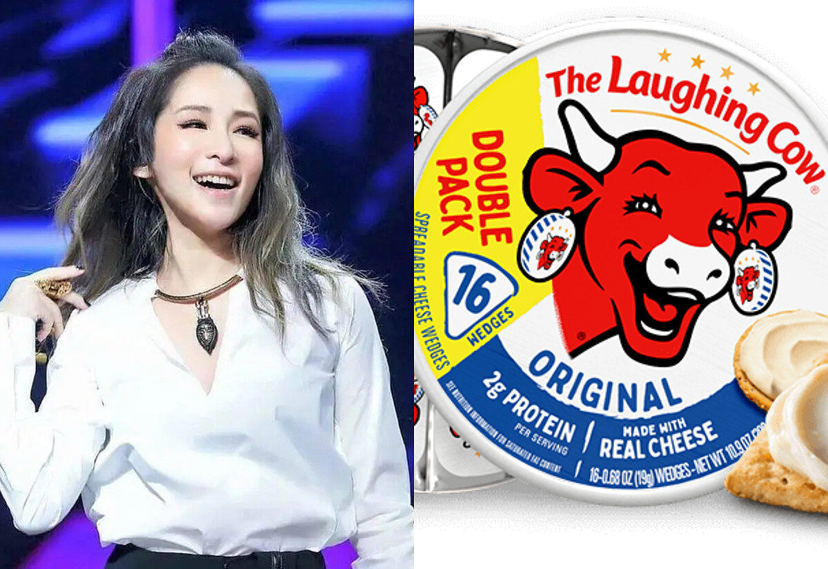 （圖片來源／芒果TV、The Laughing Cow官網）
