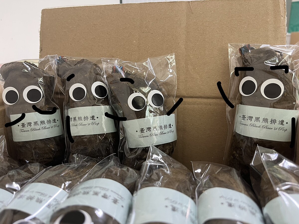 (圖片來源/台灣黑熊教育館FB)