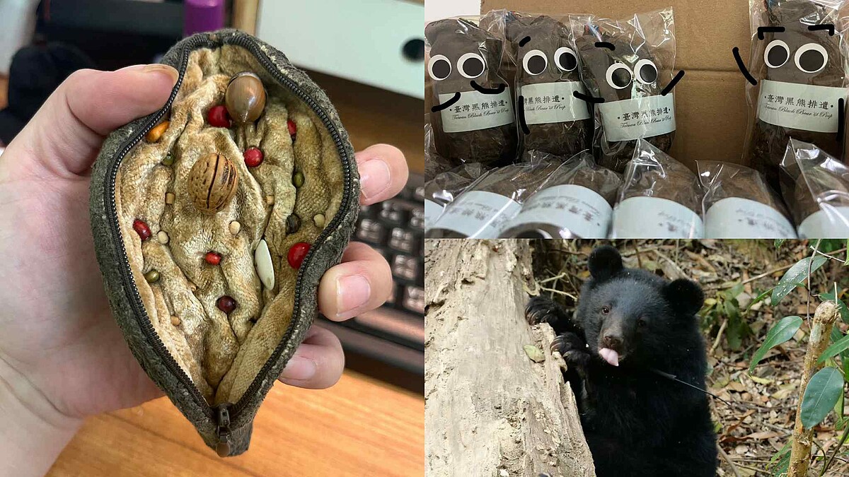 【Threads上紅什麼】台灣黑熊便便鑰匙圈怎麼買？這顆便便網友瘋搶還紅到國外