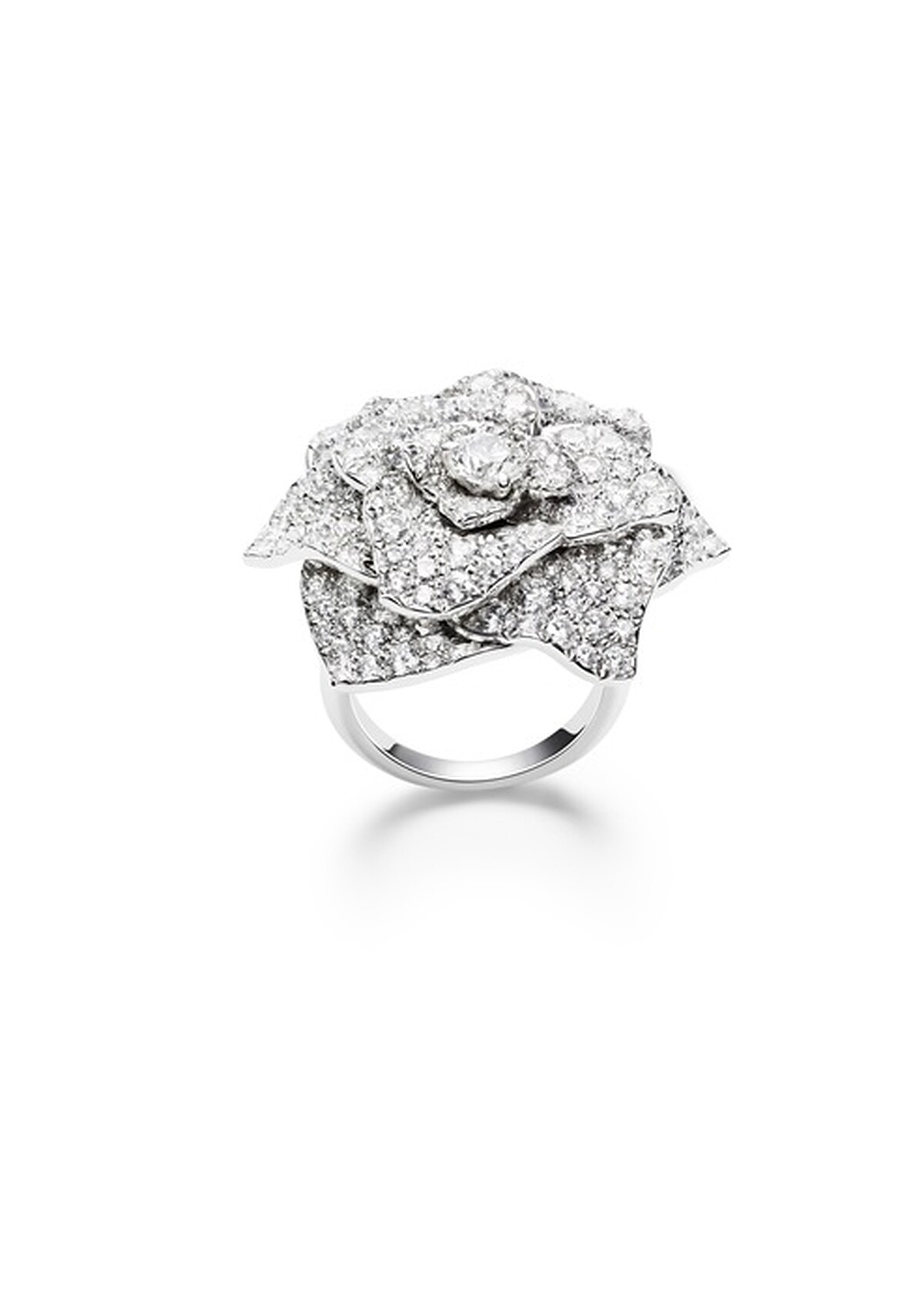 金燕玲配戴Piaget Rose指環G34U5600