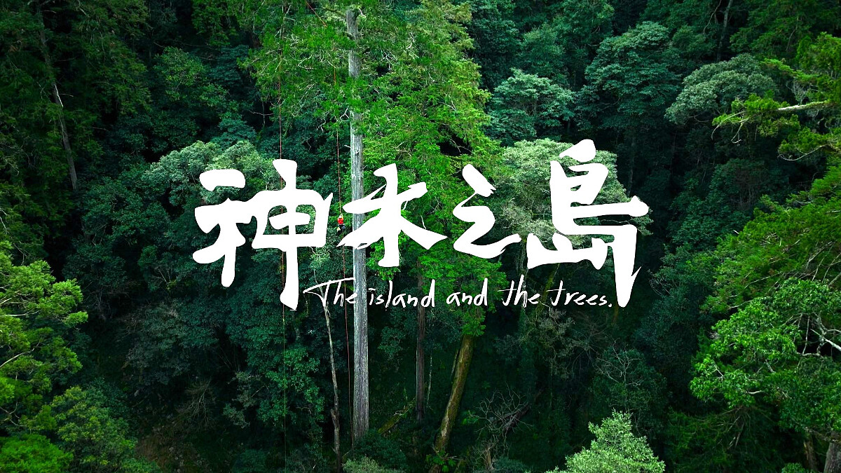 紀錄片《神木之島》票房贏過《寒戰1994》6點介紹：每一個鏡頭都充滿了對台灣山林的愛、巨木高度測量方式完整公開