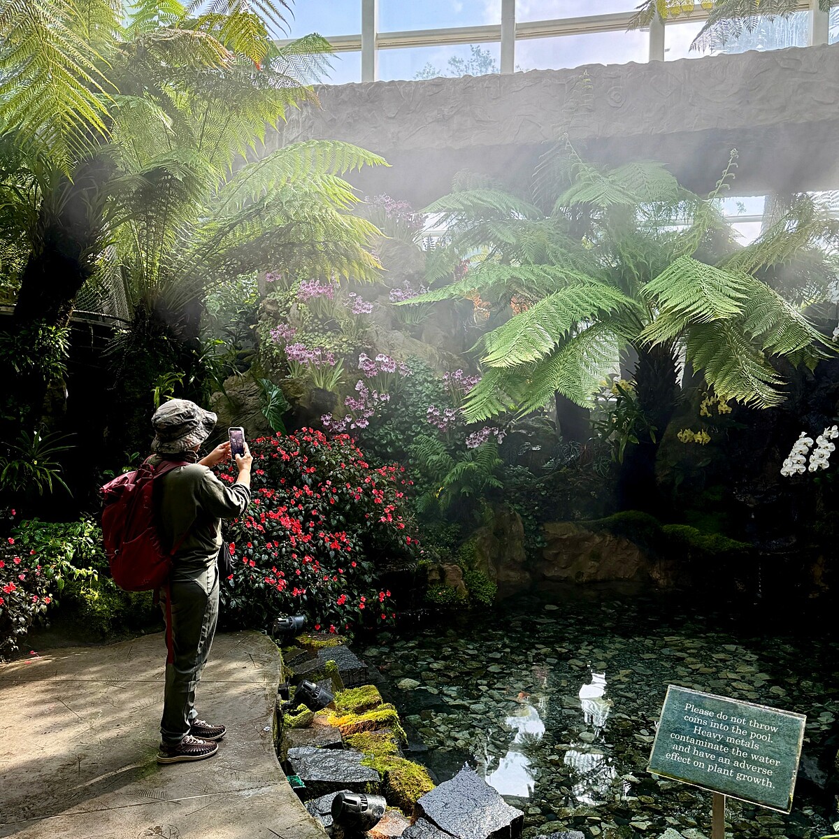 新加坡植物園室內區域