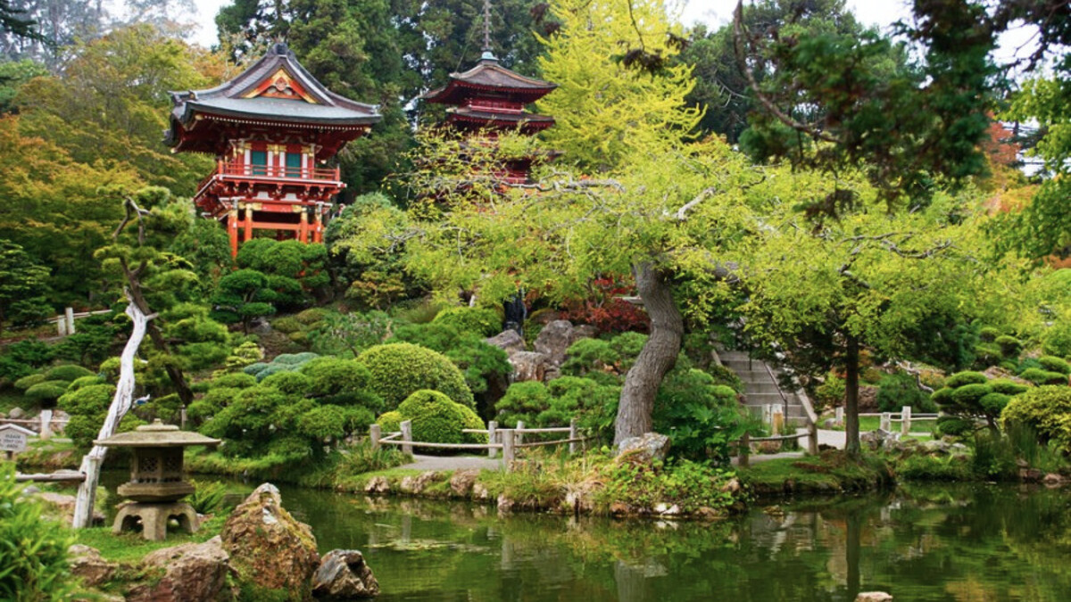 金門公園 Golden Gate Park