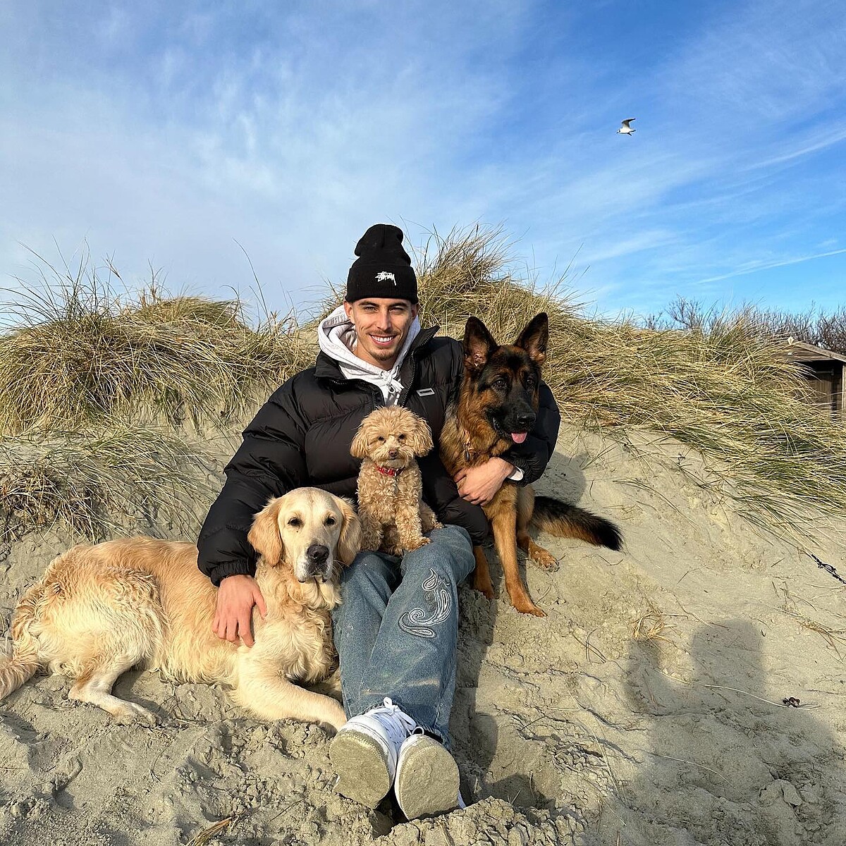 Kai Havertz