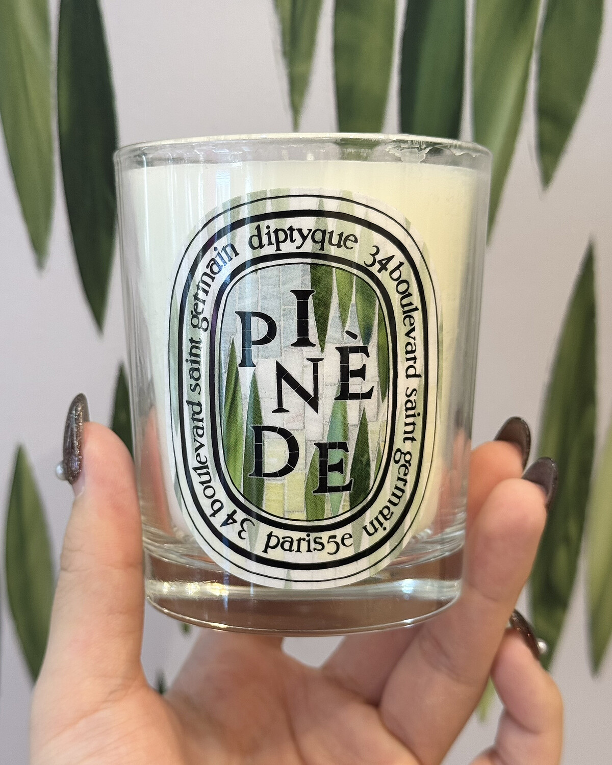 Diptyque 2026夏日限量香氛蠟燭 松林190g，NT2,500。