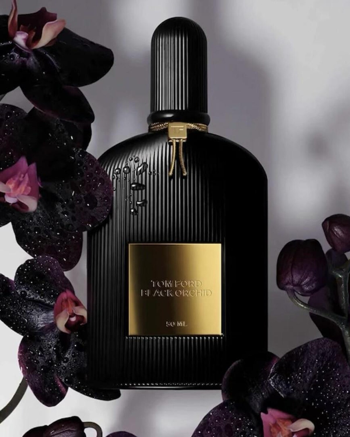 Tom Ford Black Orchid 黑蘭花女性淡香精,100ml NT4,280