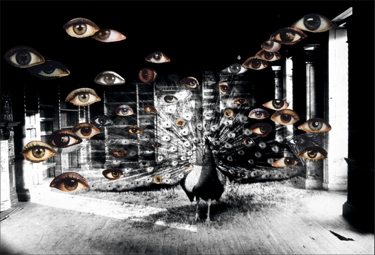 《我見證》（I-Witness）&copy; Penny Slinger _ DACS Images, Courtesy of the artist.