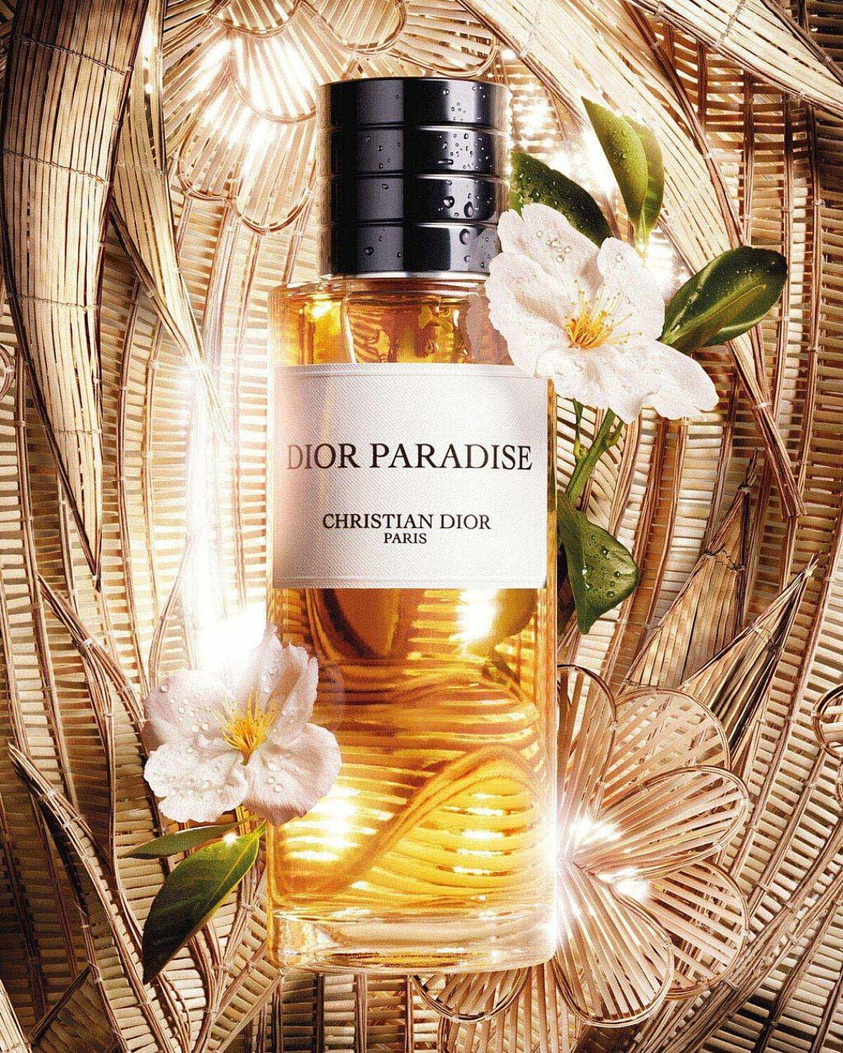 DIOR 杏桃暖韻香氛,50ml NT6,800、100ml NT11,200。