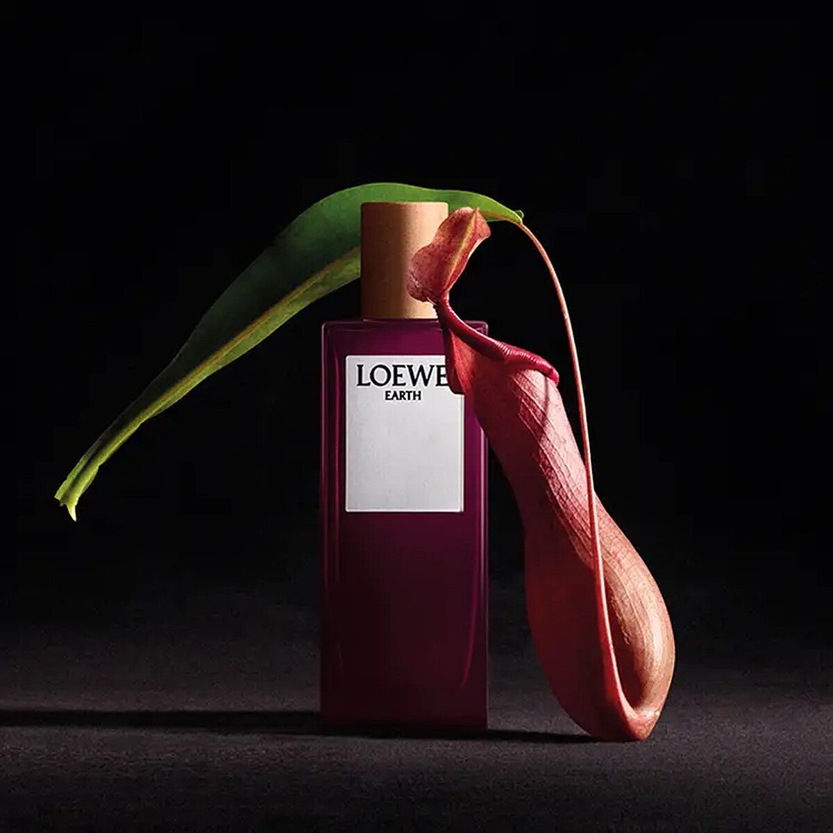 LOEWE Earth 自然之水淡香精,50ml NT4,450、100ml NT6,490。