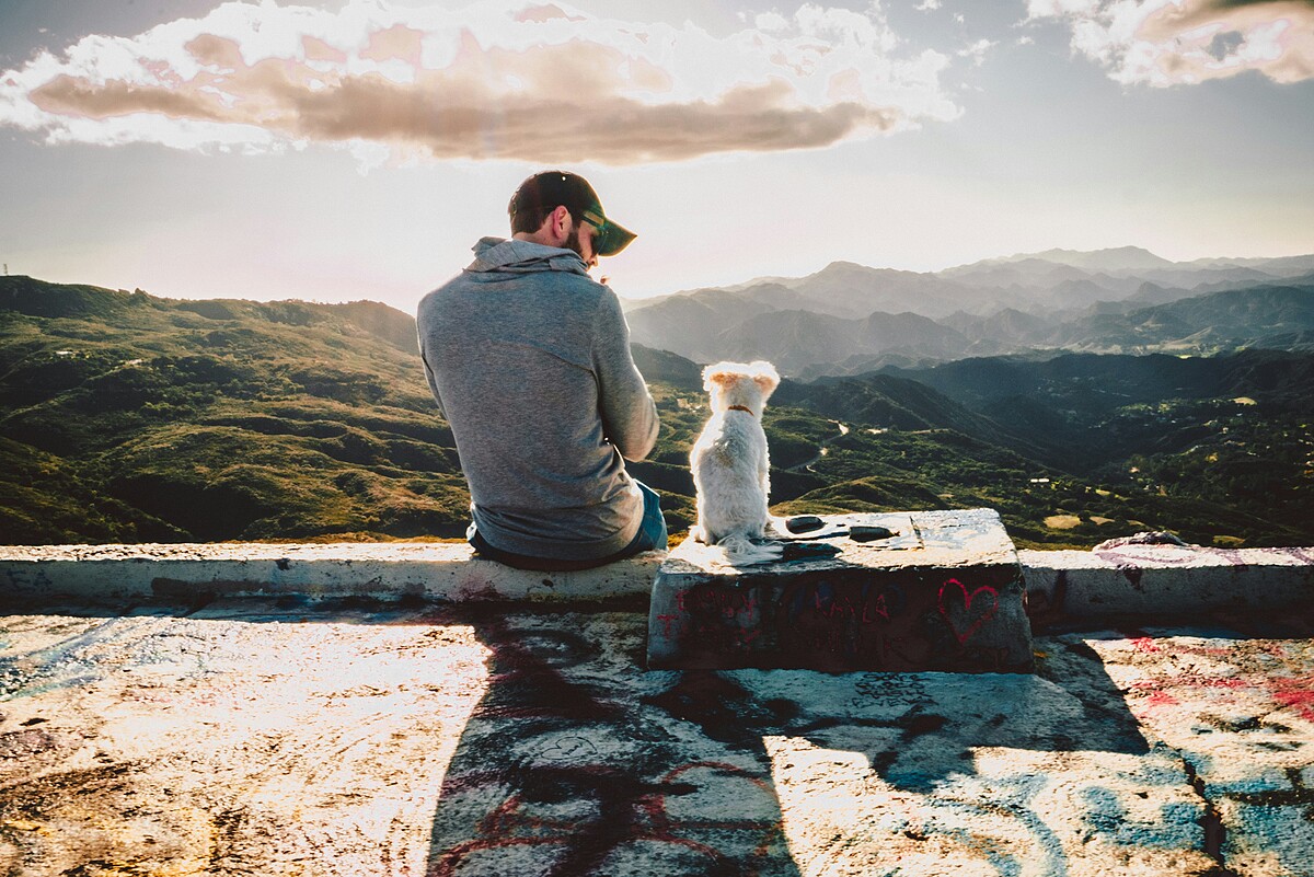 Photo/Unsplash