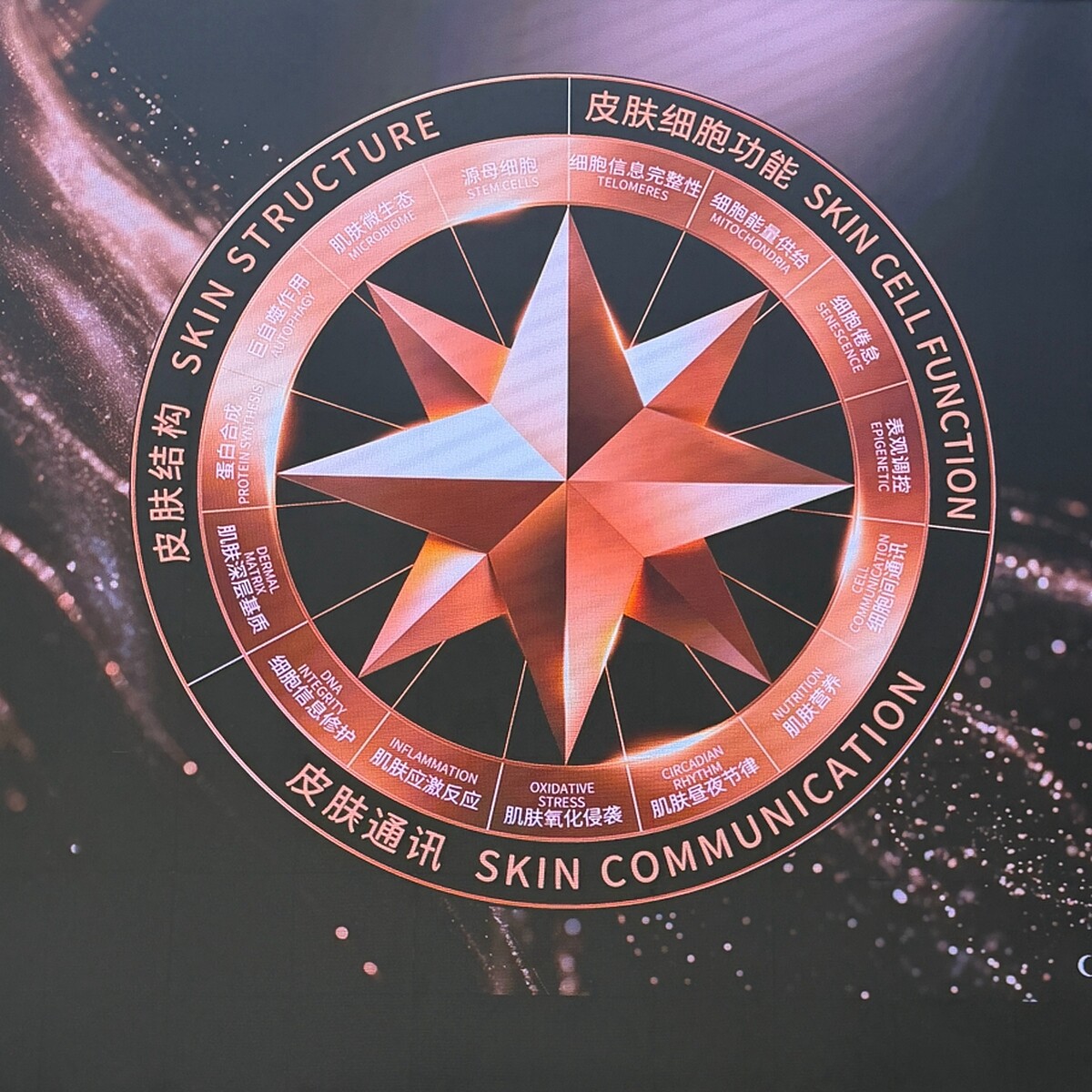 2026《迪奧精萃再生玫瑰系列》保養科技峰會展示的「迪奧肌膚長壽青春羅盤™」說明。