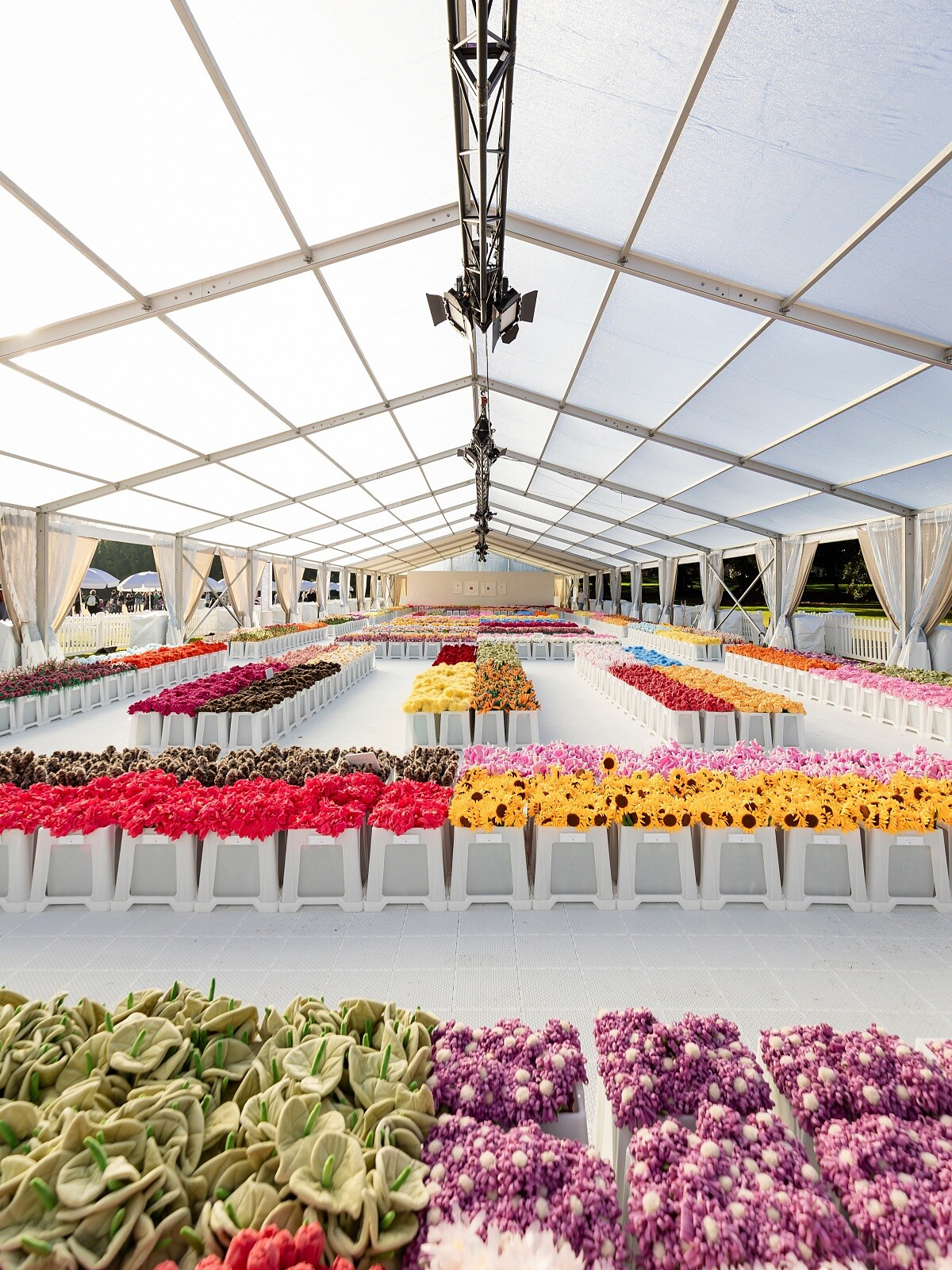 澳洲的「Flower Market」現場。