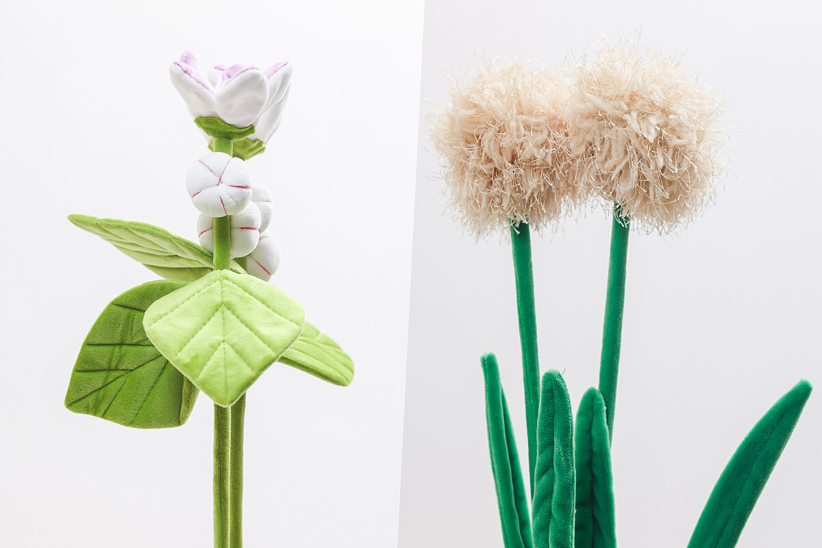皇冠花、繡球蔥花。
