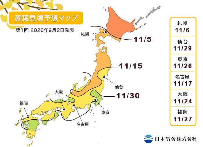 2026日本銀杏最佳觀賞日期出爐