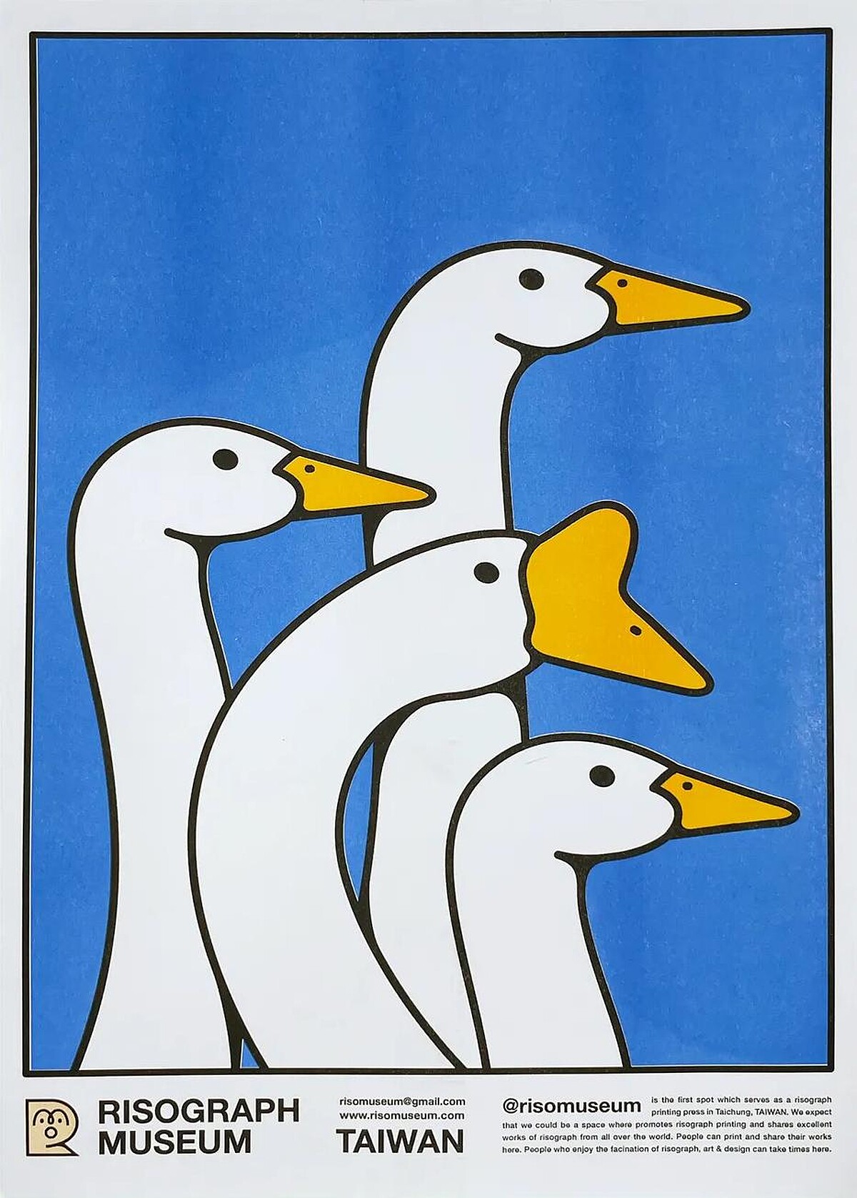 主題選品:Geese 鵝們