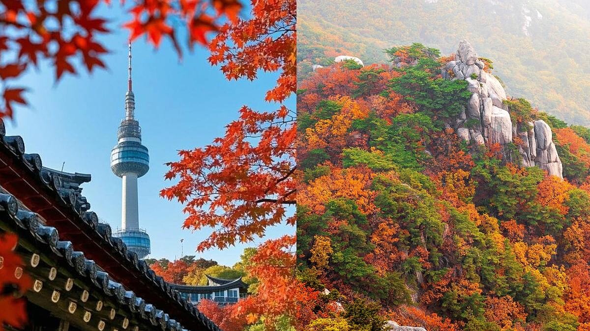 2026韓國楓葉最佳觀賞路線！《崩潰爬山趣》雪嶽山、必拍紅葉隧道內藏山4大秘境一次收藏