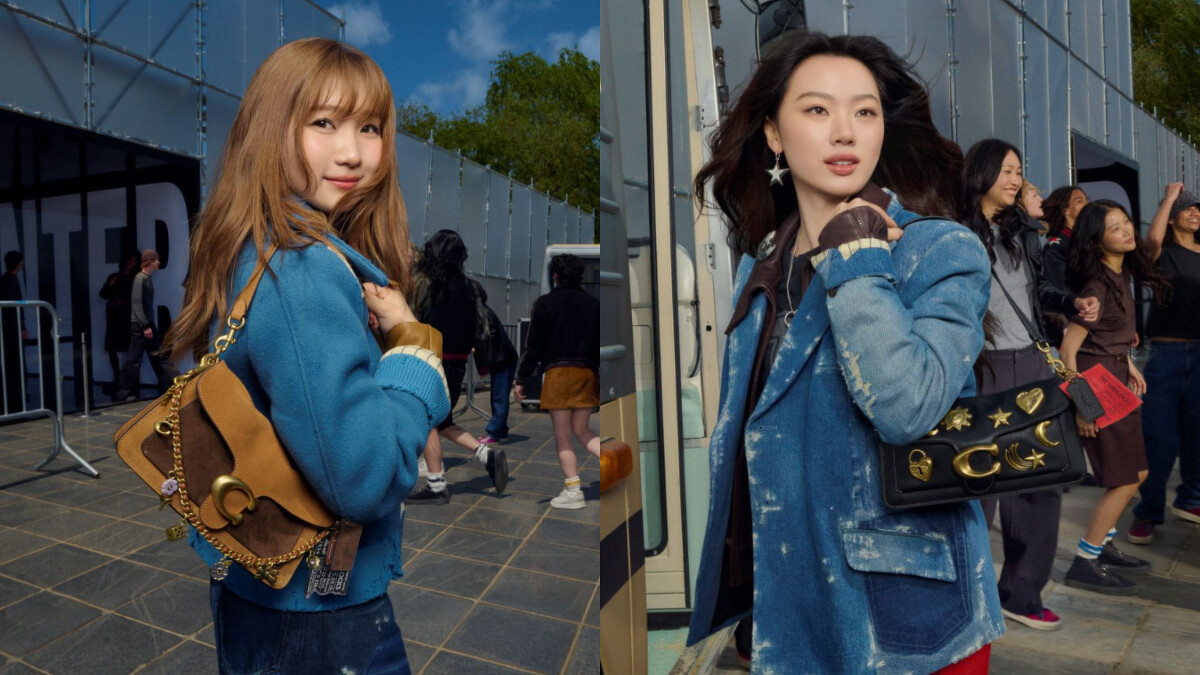 Lilas|Custom Tabby 、Shan Yichun|Custom Tabby
