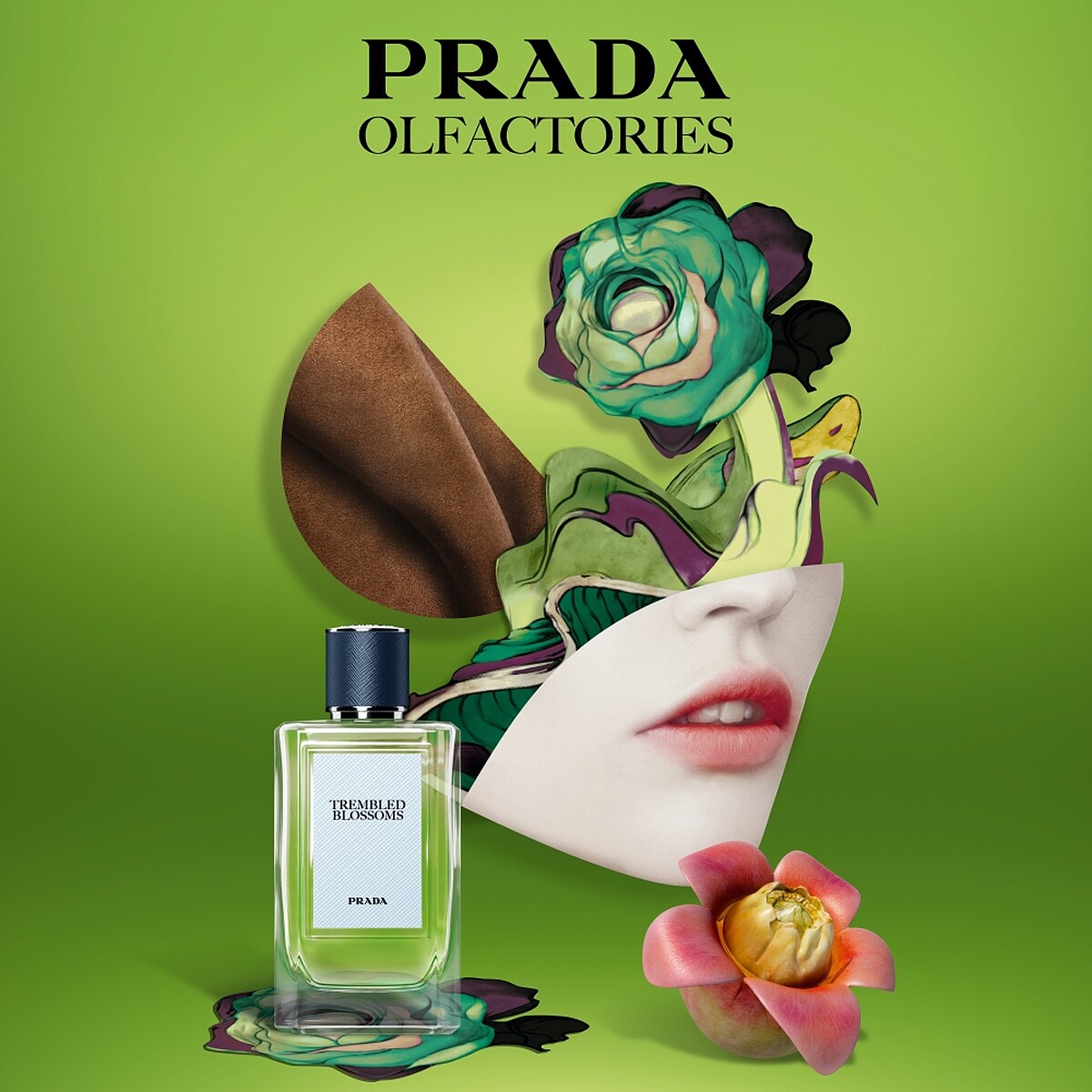 PRADA Beauty嗅覺珍藏系列TREMBLED BLOSSOMS綠芽初綻情境圖