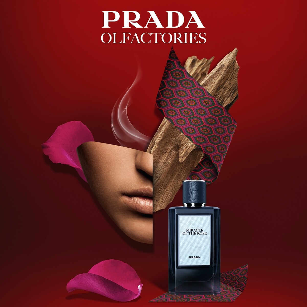PRADA Beauty嗅覺珍藏系列MIRACLE OF THE ROSE荊棘玫瑰情境圖