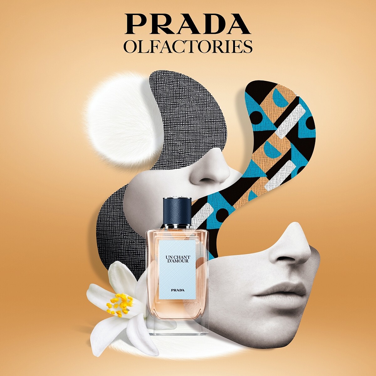 PRADA Beauty嗅覺珍藏系列UN CHANT D’AMOUR柔雲頌歌情境圖