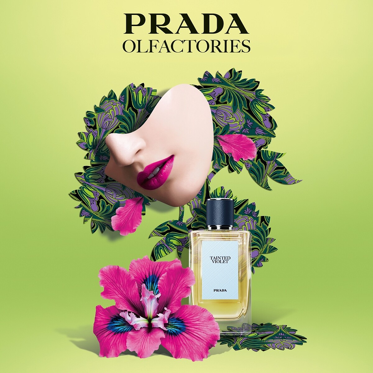 PRADA Beauty嗅覺珍藏系列TAINTED VIOLET紫雨鳶尾情境圖