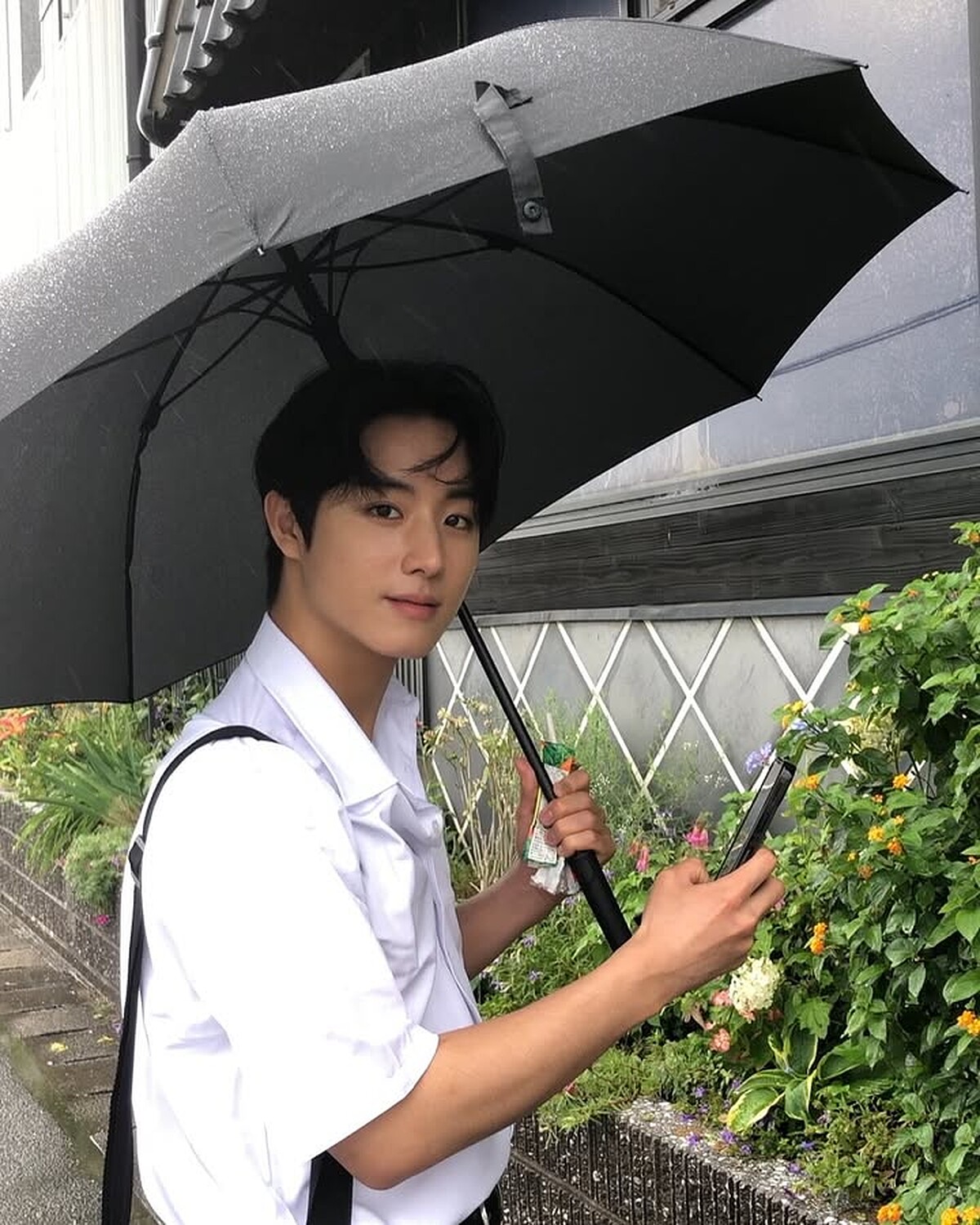 Photo / IG@winhwanii