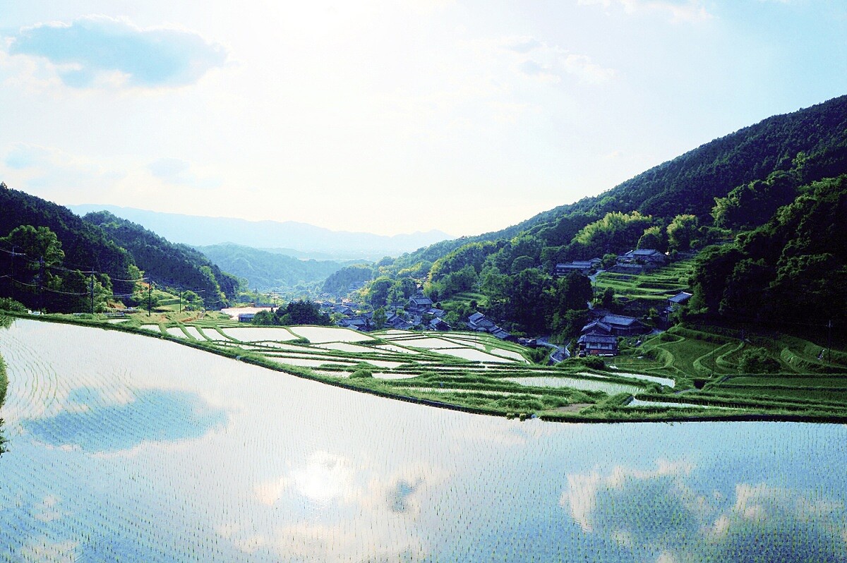 奈良是日本最古老的城市。