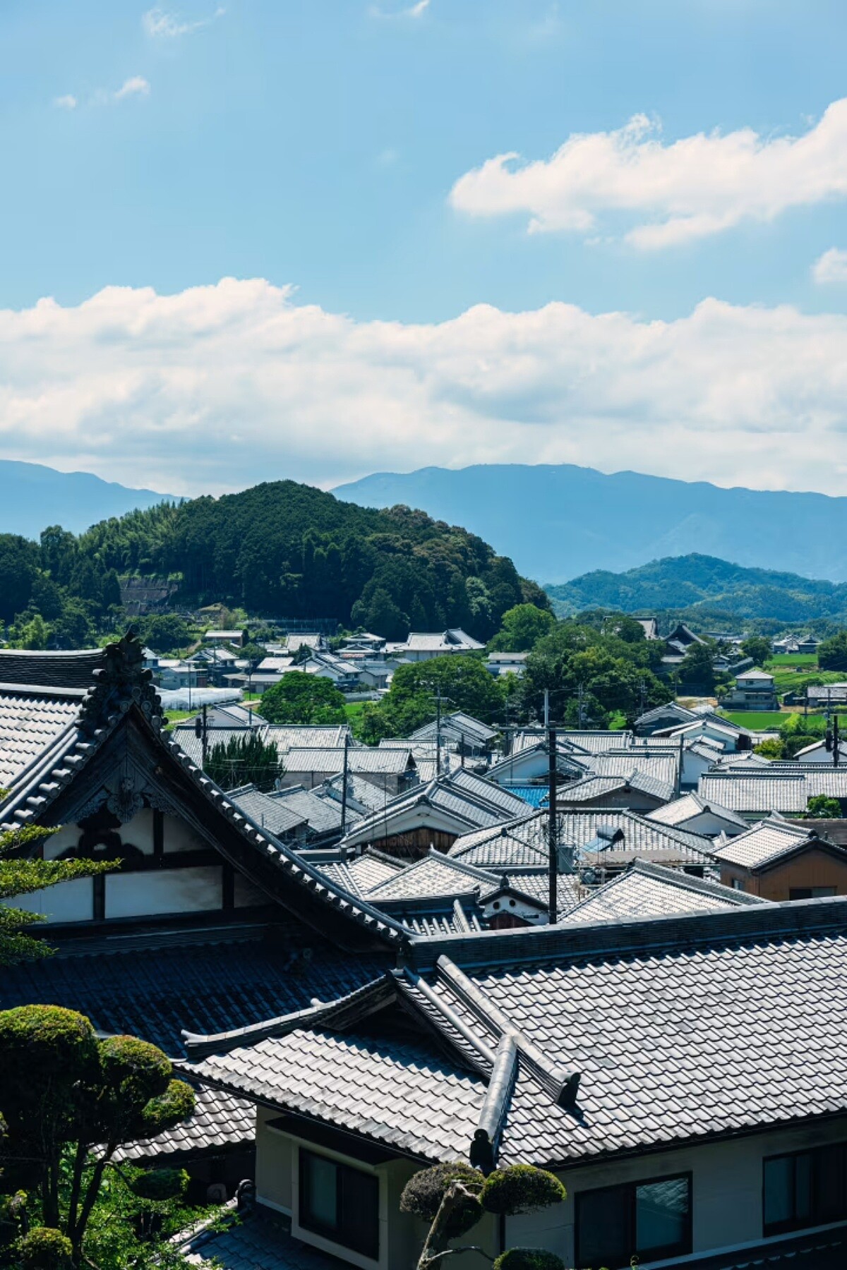 明日香村全域受「明日香村歷史風土保存及生活環境整備等相關特別措置法」(明日香法)管制。