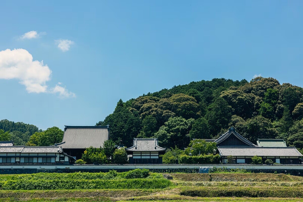 橘寺是一座隸屬於天台宗的佛教寺廟。