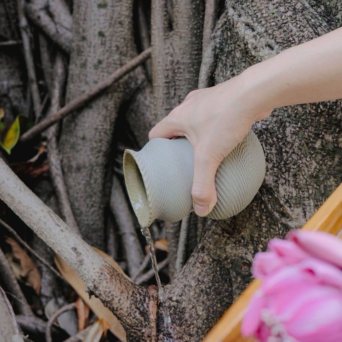 每個旅人都得先到巨大的老橡膠樹倒下一杯水。