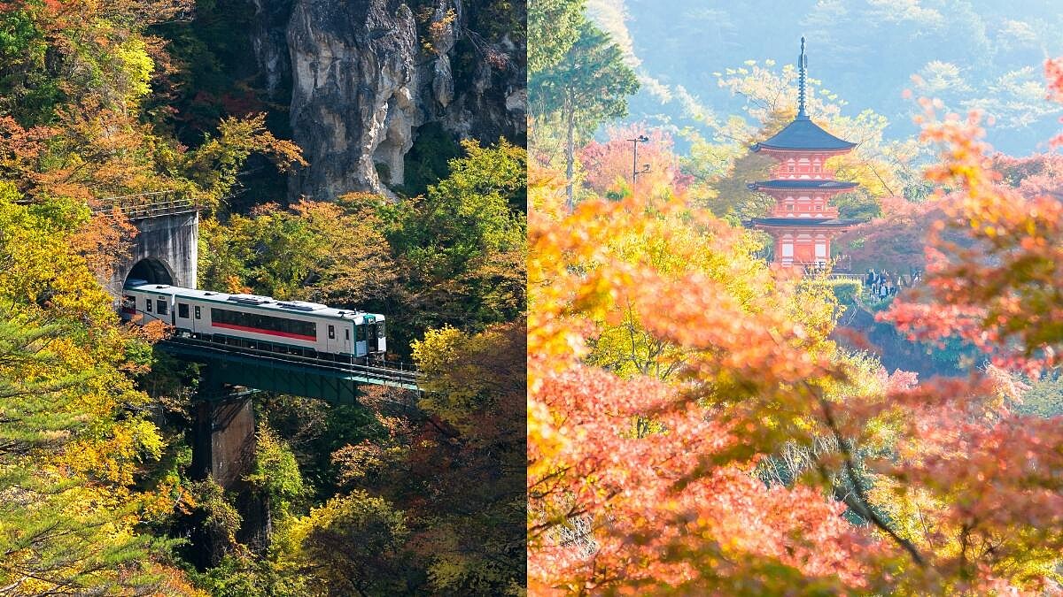 2026搭新幹線賞楓攻略！東京出發鳴子峽、田澤湖到輕井澤雲場池，JR交通、訂票一次看