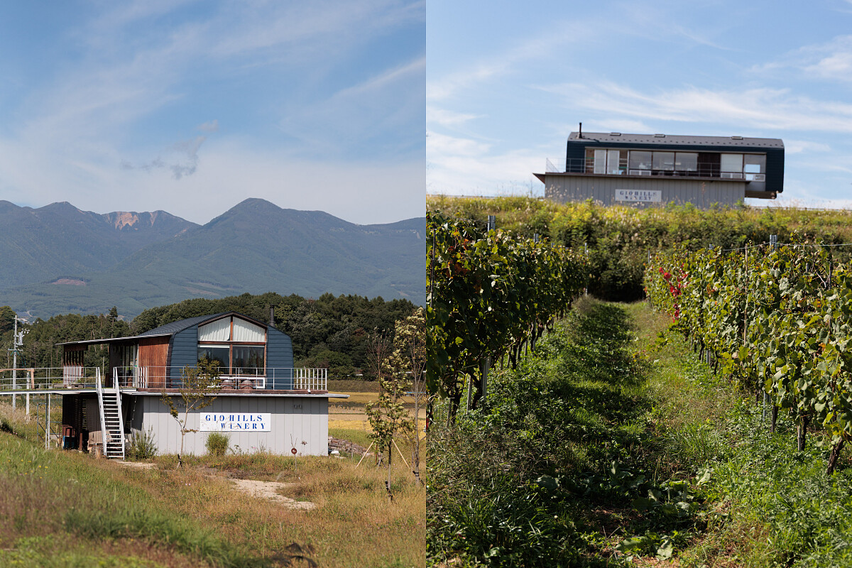 Gio Hills Winery 裡的「Song」。
